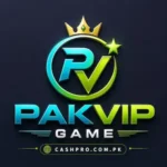 PakVip Game logo with crown icon in blue and green colors